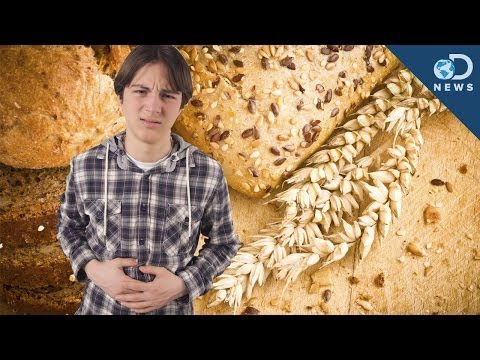 Is Gluten Sensitivity Actually Real?