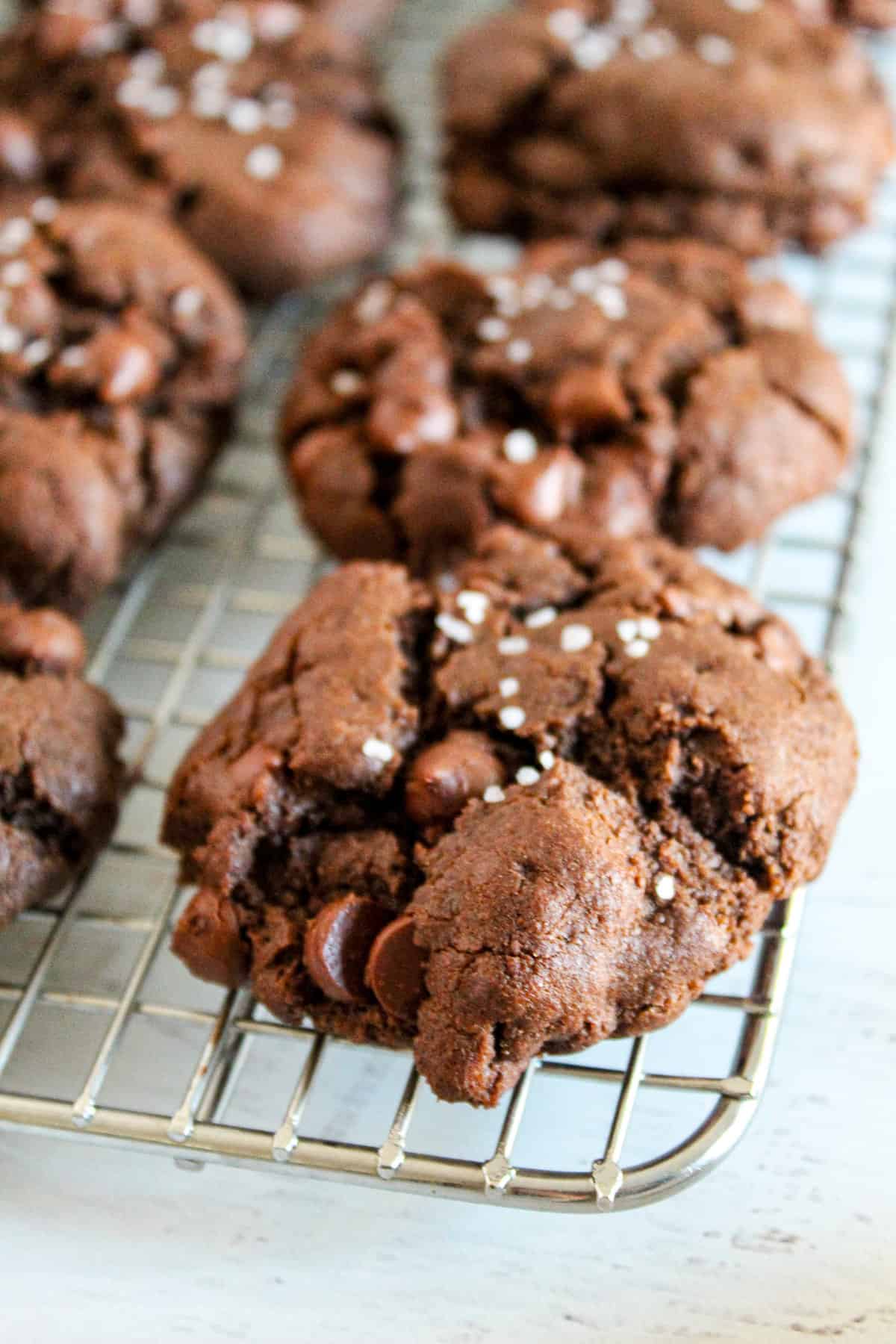 Gluten Free Double Chocolate Chip Cookies (Dairy Free)