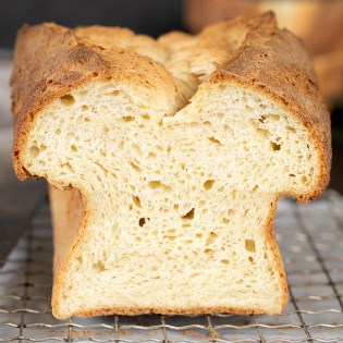 Gluten Free Rice Free Bread Recipe