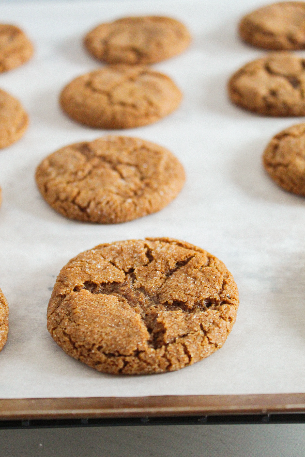 Chewy Gluten Free Molasses Cookies