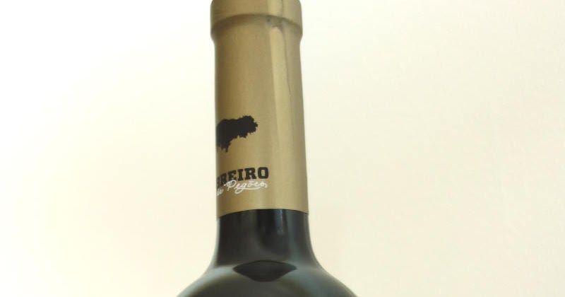 Sobreiro de Pegões Portuguese Red Wine Review