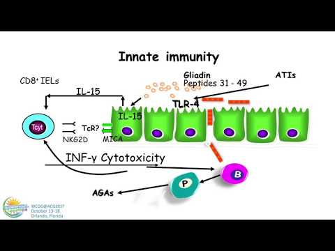 Non-Celiac Gluten Sensitivity