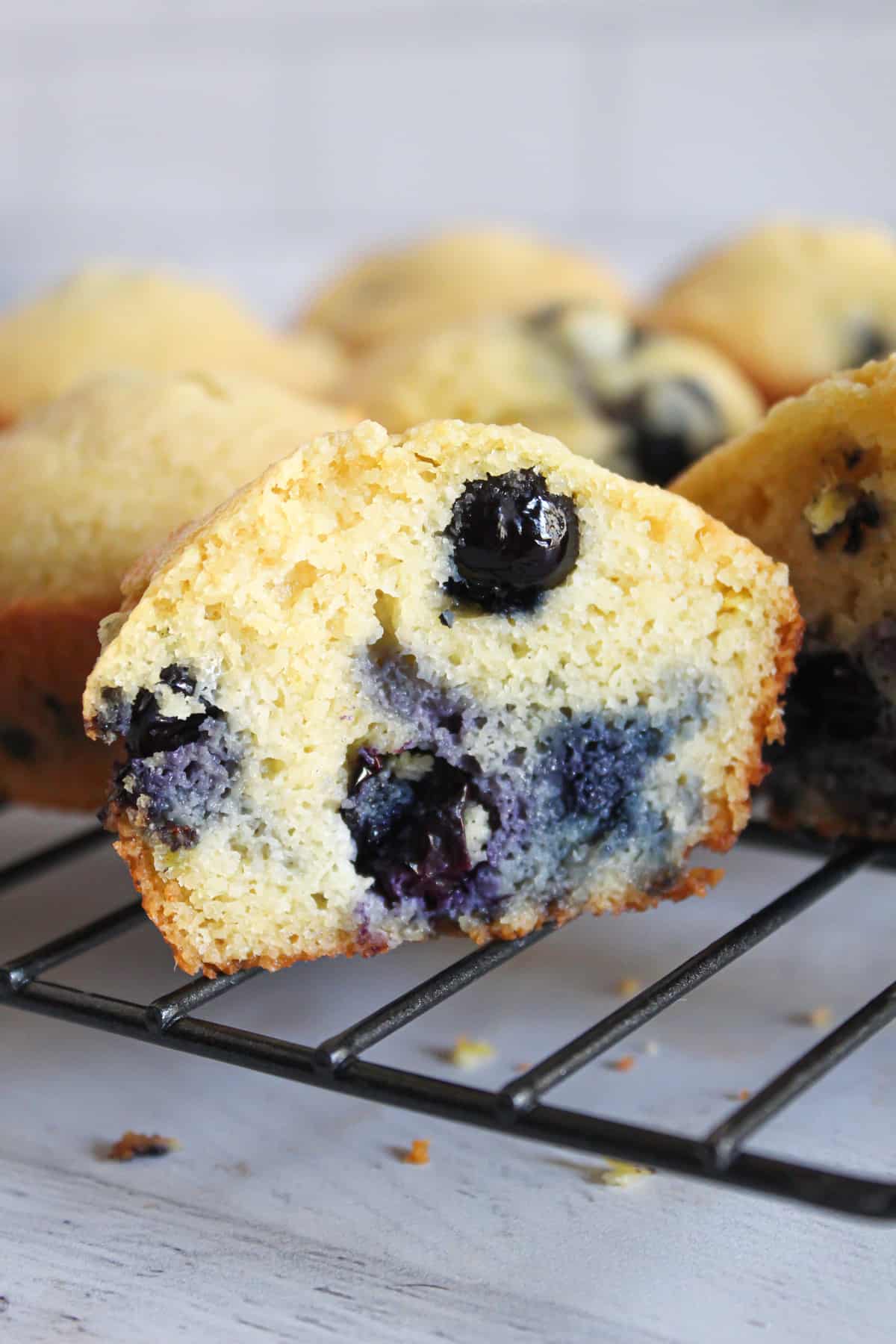 Tasty Almond Flour Blueberry Muffins (Grain Free and Low Carb)