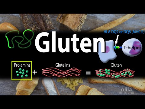 Gluten and Gluten-Related Disorders, Animation