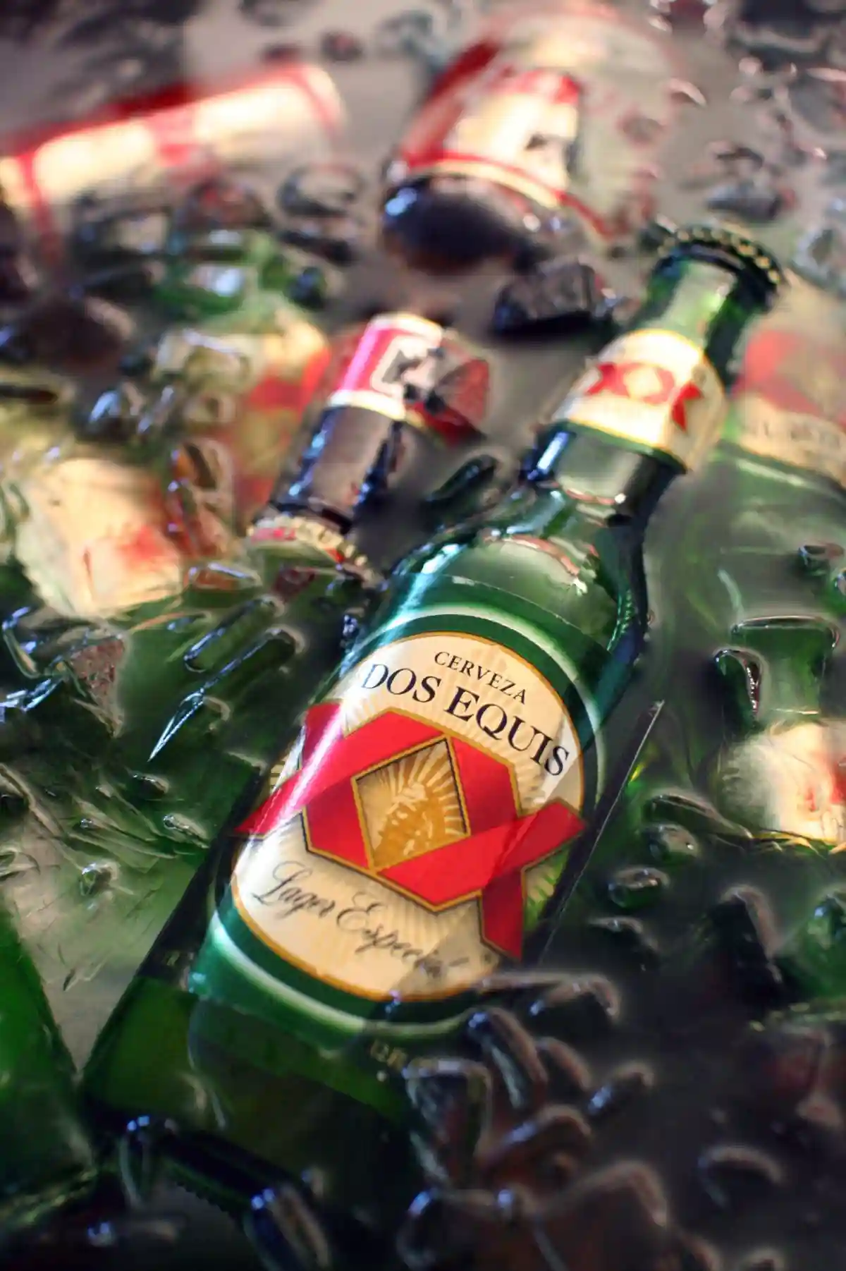 Is Dos Equis Gluten-Free? – Celiac.com